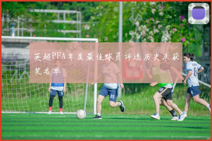 英超PFA年度最佳球员评选历史及获奖名单