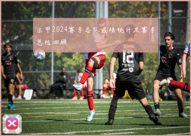 法甲2024赛季各队成绩统计及赛季总结回顾
