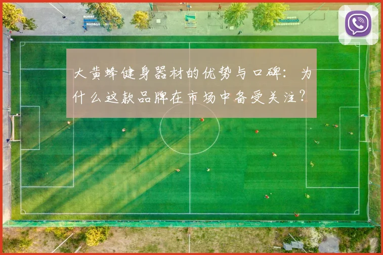 大黄蜂健身器材的优势与口碑：为什么这款品牌在市场中备受关注？